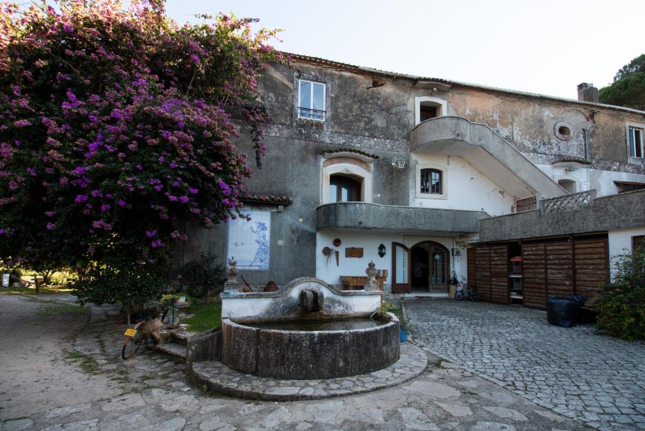 Quinta De Rio Alcaide Farm stay
