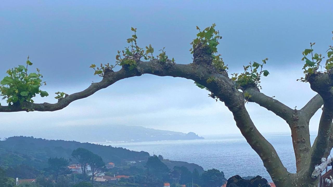 Miradouro Da Papalva - Pico - Azores Bed & Breakfast