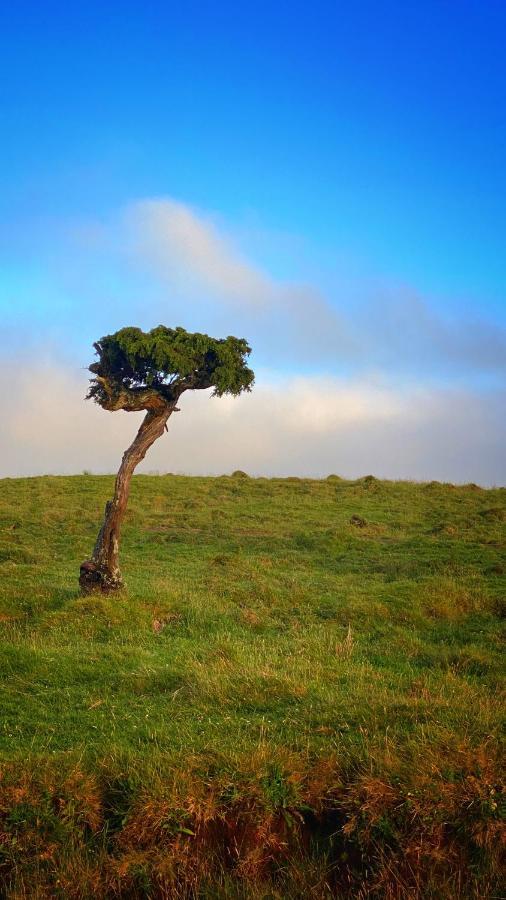 Miradouro Da Papalva - Pico - Azores Bed & Breakfast Sao Joao (Pico Island)
