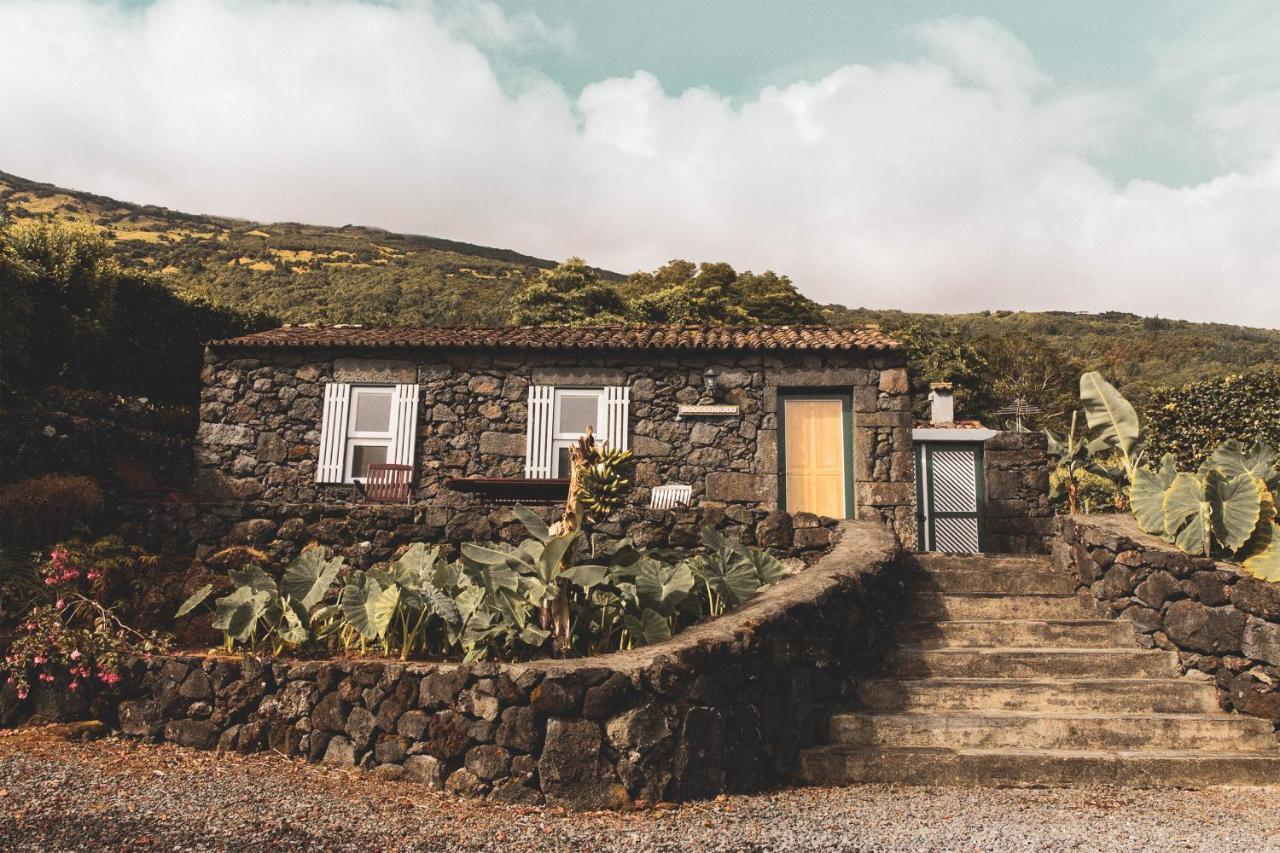 Adegas Do Pico *