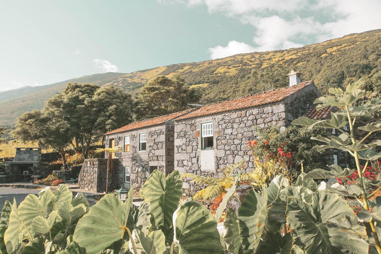 Adegas Do Pico