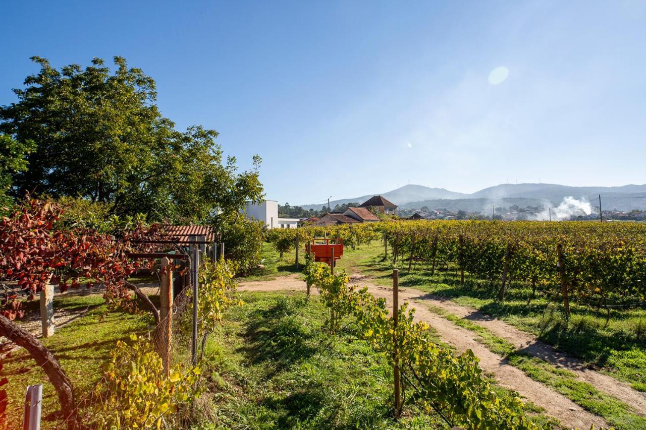 Quinta De Nova - * Moncao