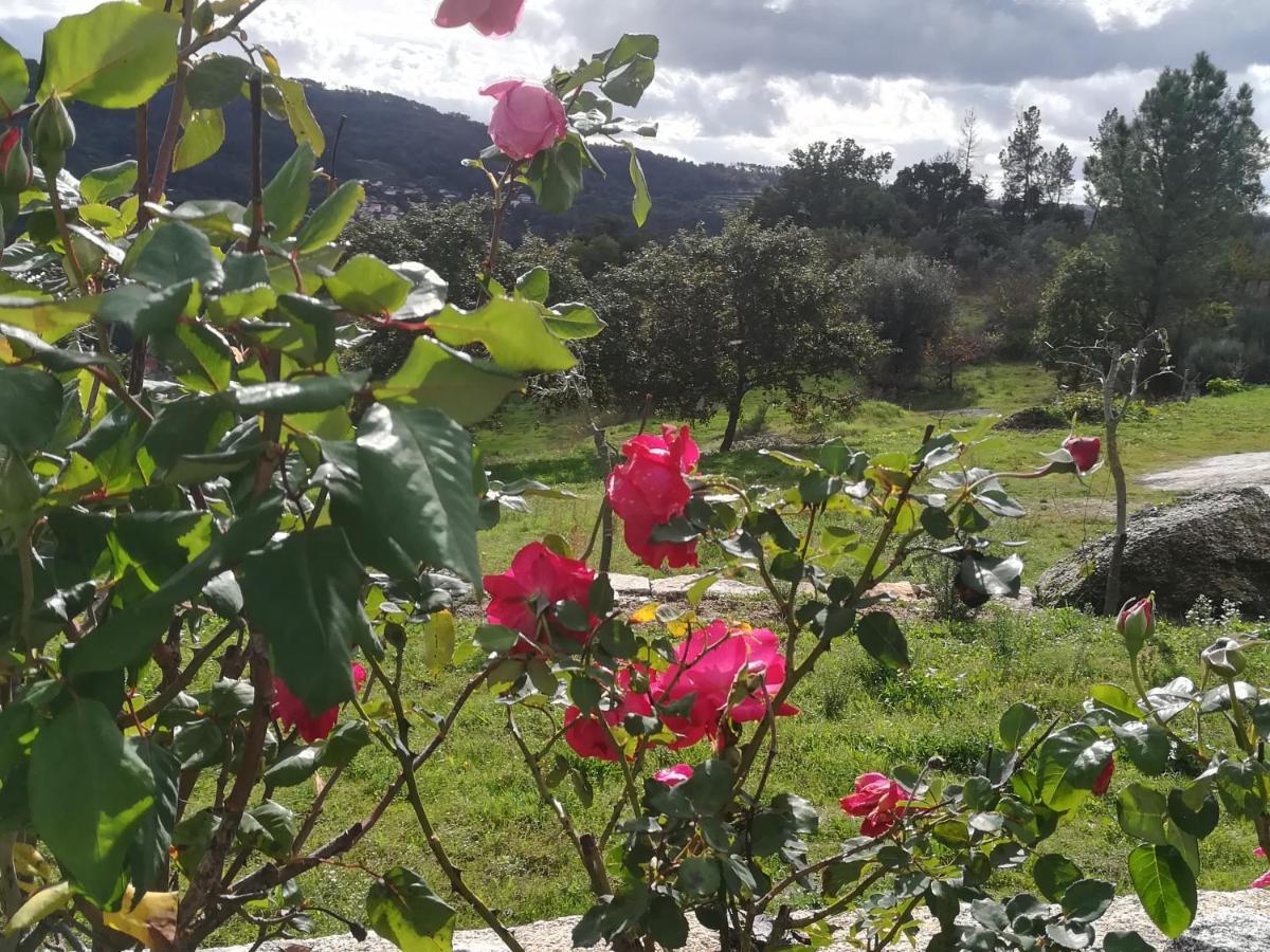Vakantiepark Eiras Do Dao
