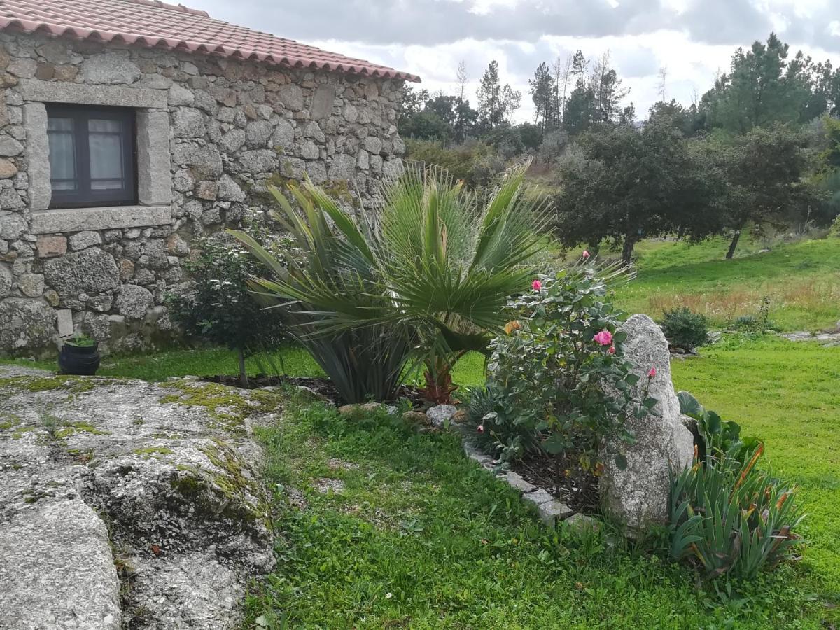 Eiras Do Dao