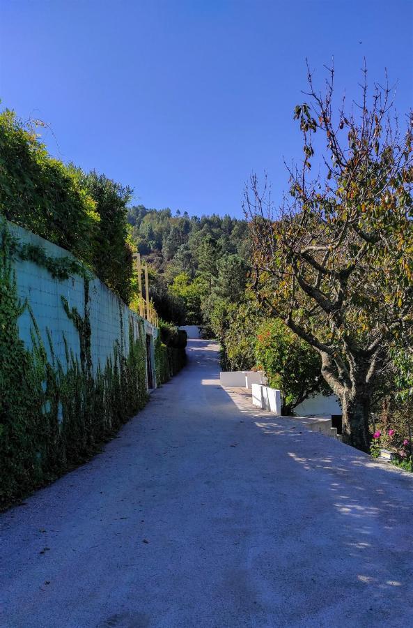 Pera Da Serra - Turismo No Espaco Rural Lousa (Central Portugal)