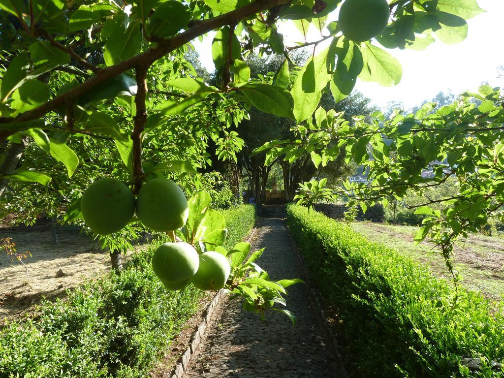 Bio - Quinta Da Serra