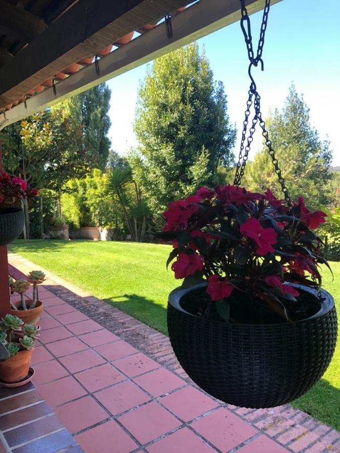 Vakantieboerderij Casas Dos Infantes -