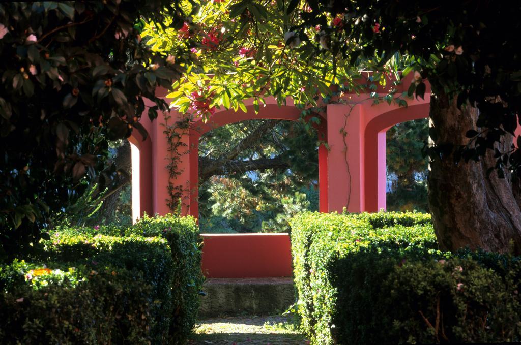 Hotel Bio - Quinta Da Serra Câmara de Lobos