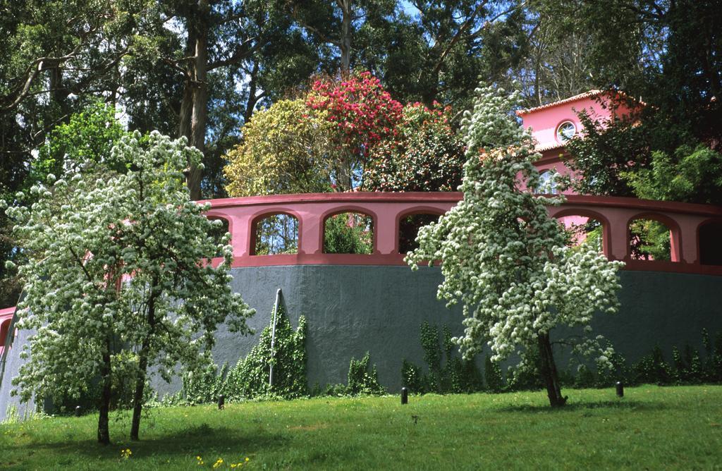 Bio - Quinta Da Serra Hotel Câmara de Lobos