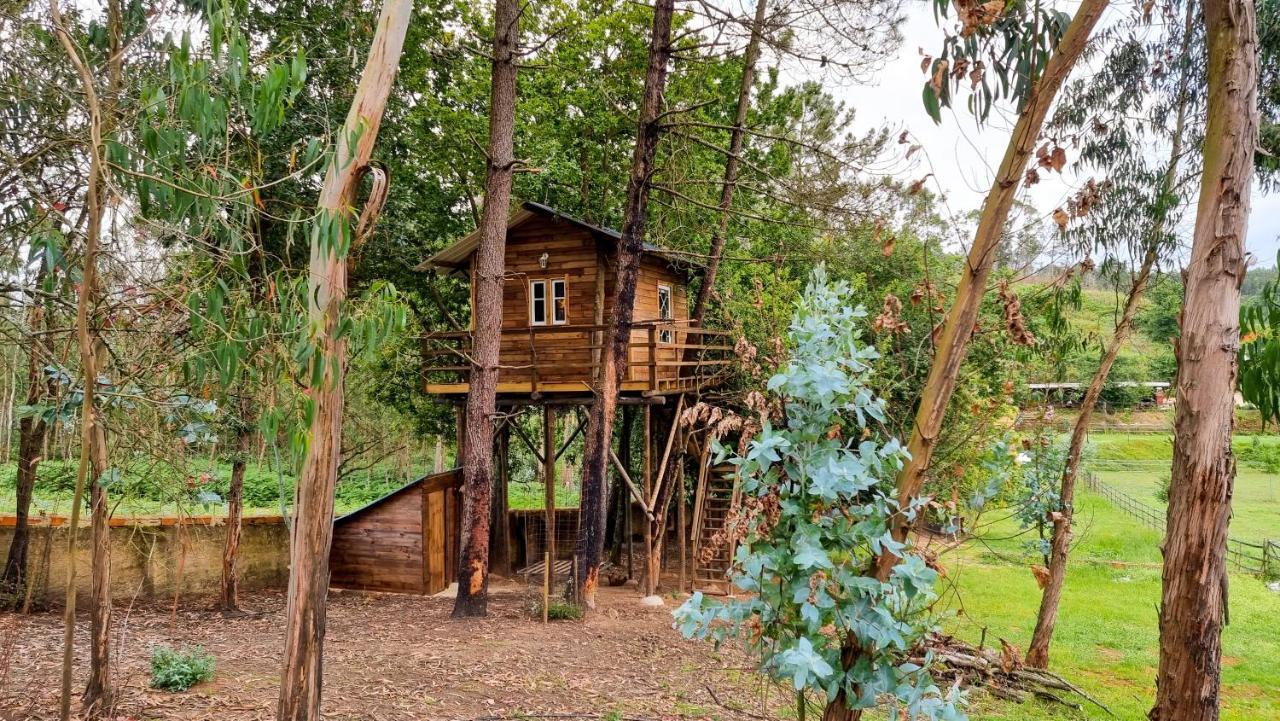 Vakantiehuis Vale Da Silva - Quinta *