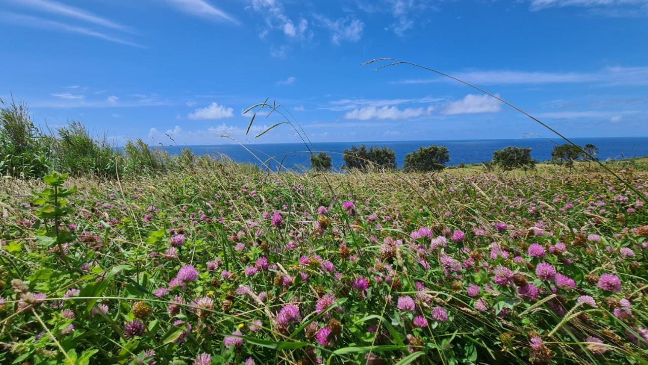 Quinta Da Meia Eira Estadia no rancho Castelo Branco (Faial)