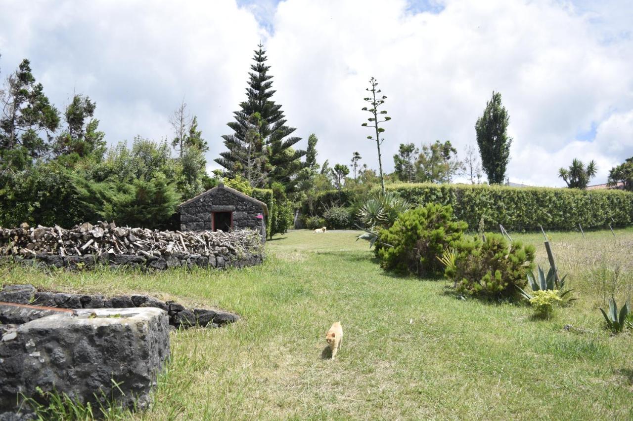 Farm stay Quinta Da Meia Eira Castelo Branco (Faial)