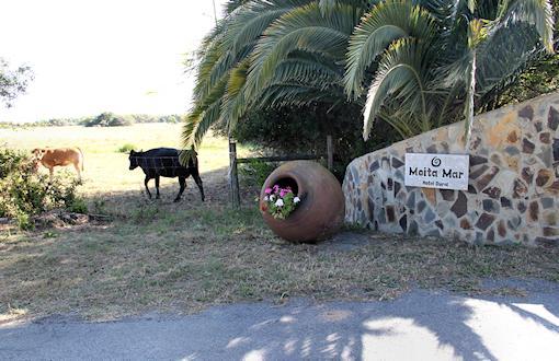 Herdade Moita Mar - Country & Sea 3* Vila Nova de Milfontes
