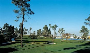 Arrabida & Golf Academy
