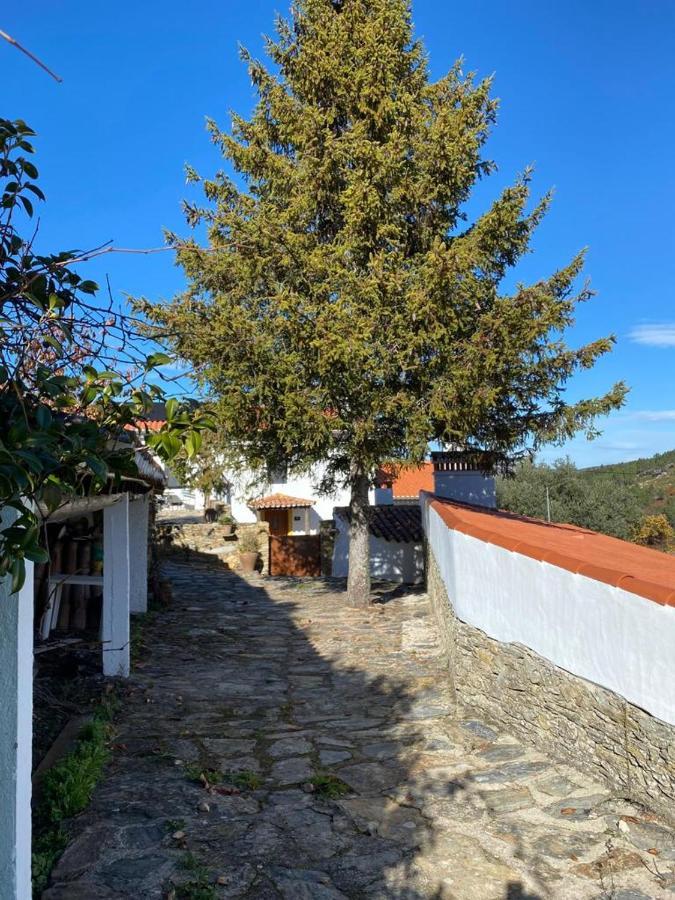 Casa Do Vale Casa rural Marvão