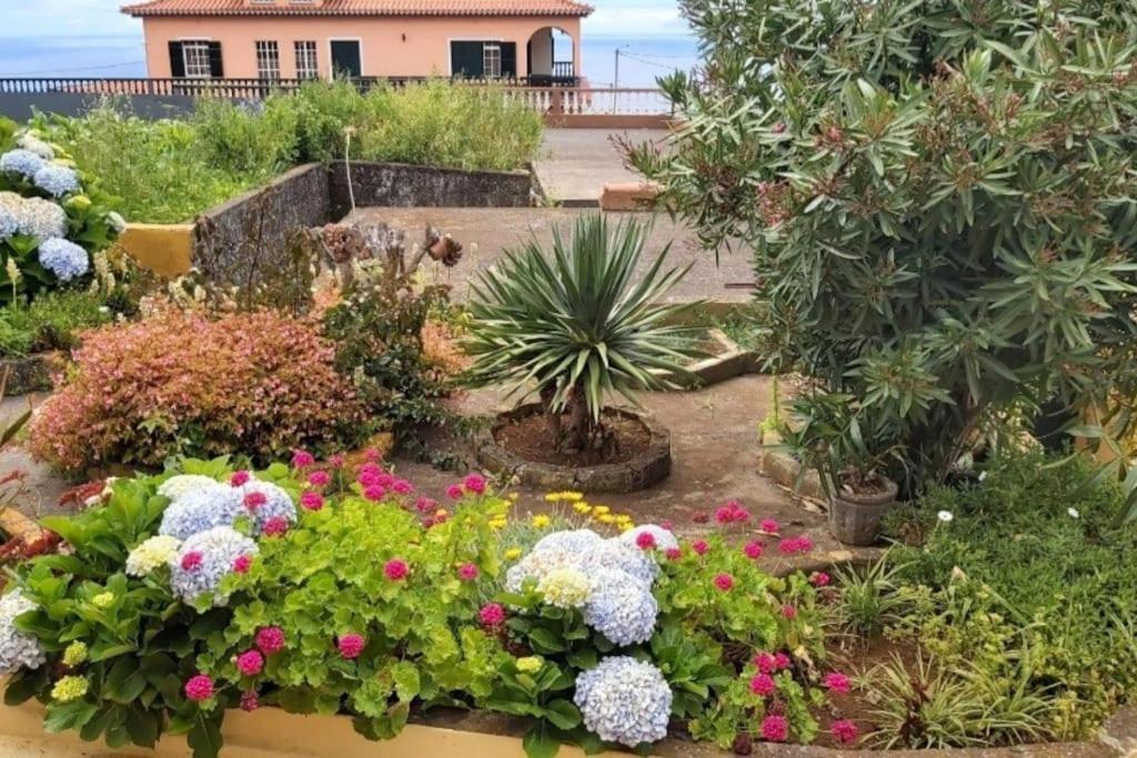 Casa Ribeirinho No Coracao Da Natureza Guest house *