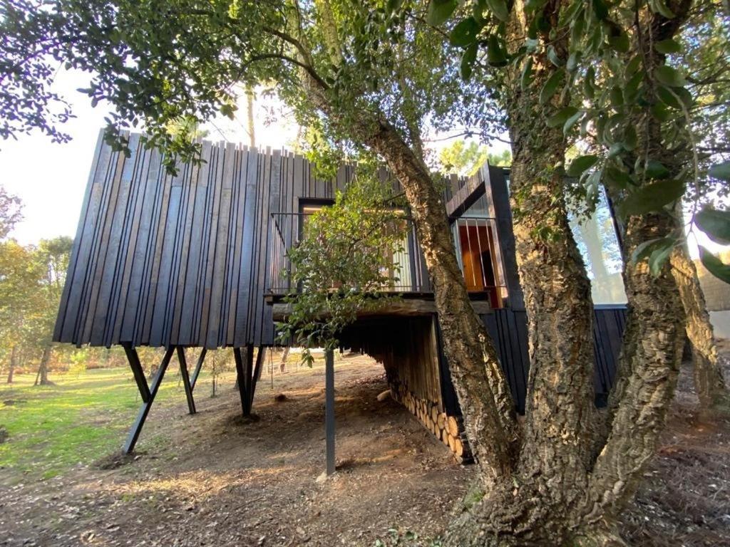 Quinta Do Pedregal & Vila Nova de Gaia