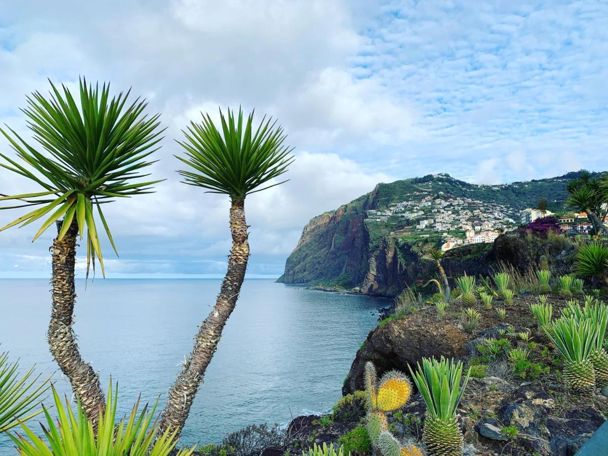 Apartment Ocean Cliff