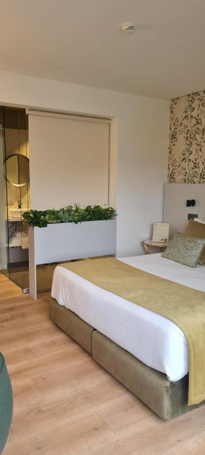 Ribeira House Bed & Breakfast Mirandela