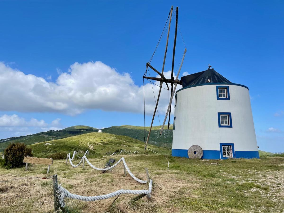 Casa Pinha