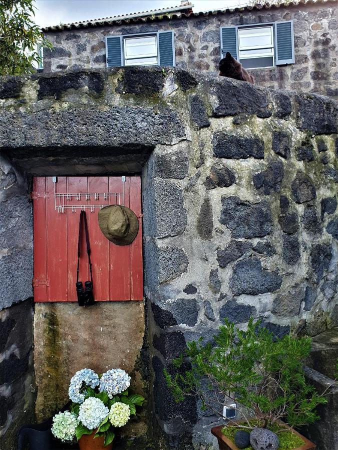 Casa Do Arcanjo