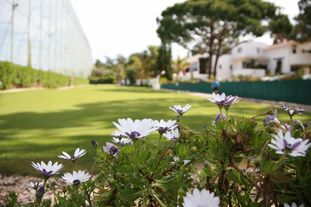 Barringtons Centro Desportivo Vale Do Lobo Apartment Almancil