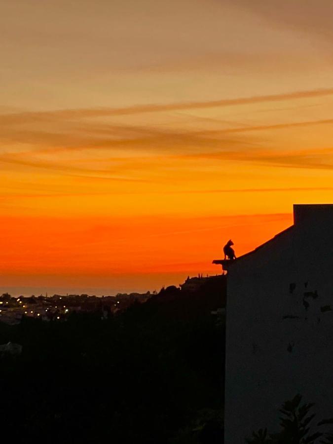 Ocean View Skyline ‚hakuna Matata' Apartamento