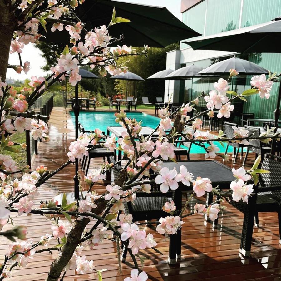 Park Hotel&spa Penafiel