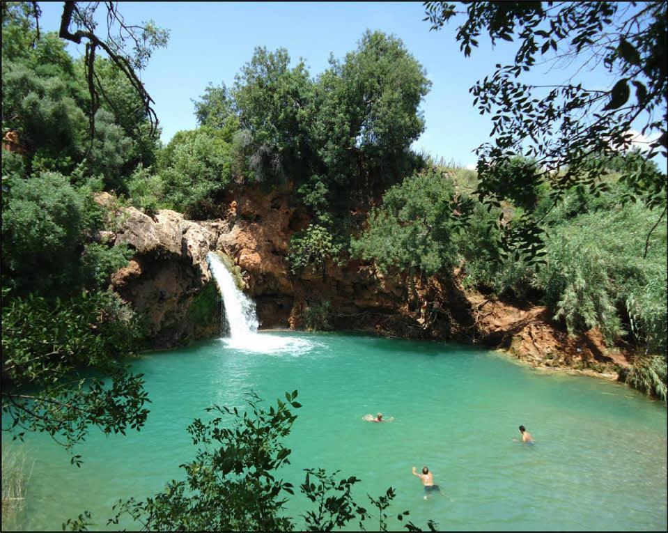 Taah Billa Tavira