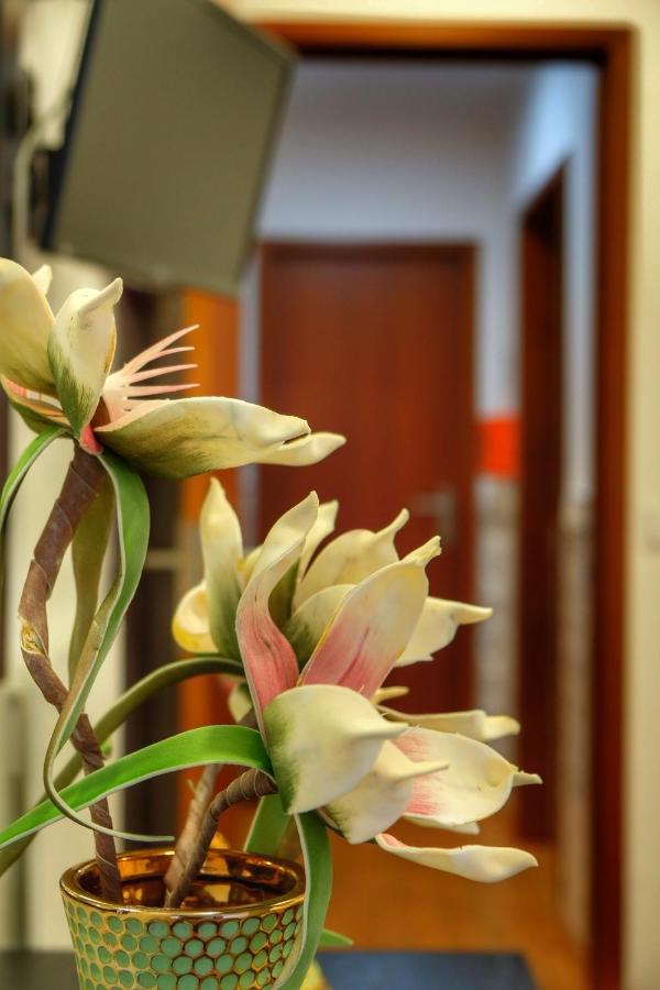 Guest house Vale Dos Encantos Furnas (Azores)