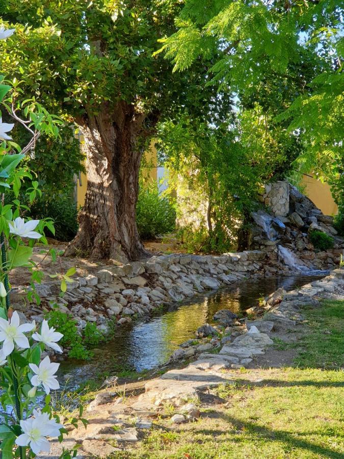 Quinta Lagus - Country house *
