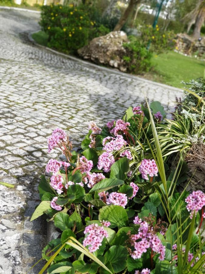 Quinta Lagus - Country house *