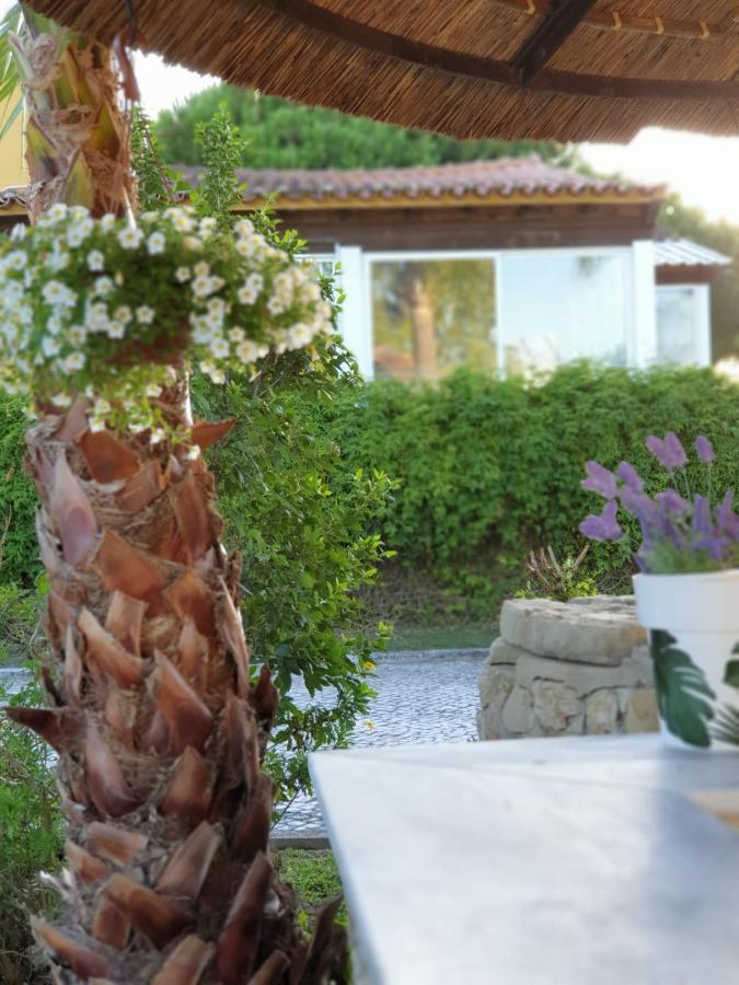 Quinta Lagus - Country house Palmela