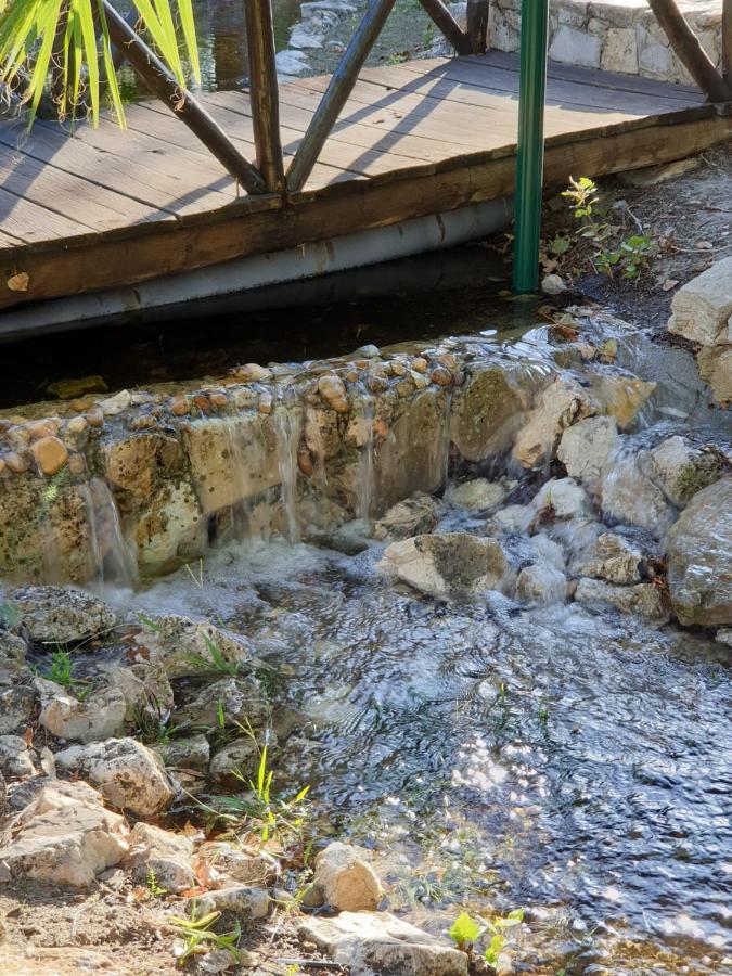 Quinta Lagus - *