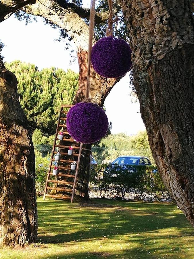 - Quinta Lagus Palmela