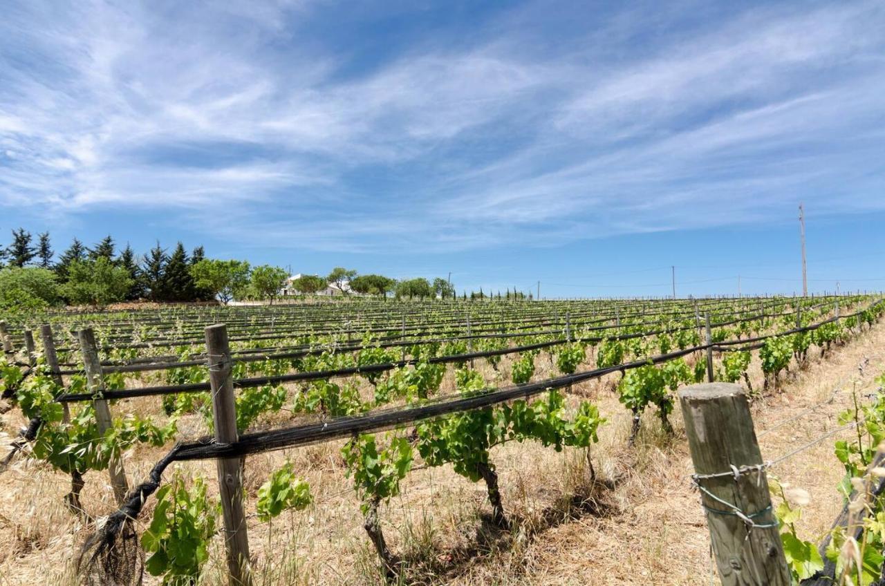 Casas Na Vinha - Monte Da Casteleja, Wine Estate - Eco Lagos