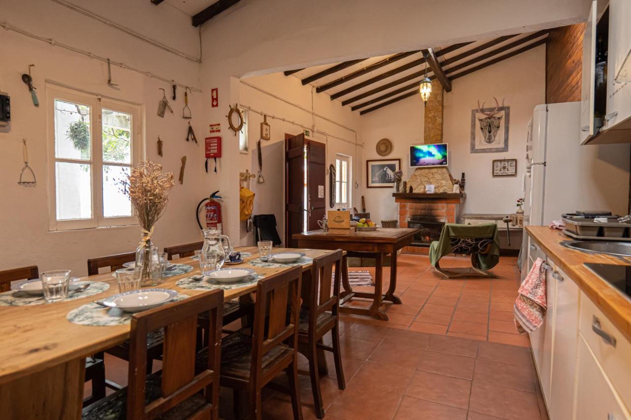 Hostel Olive3
