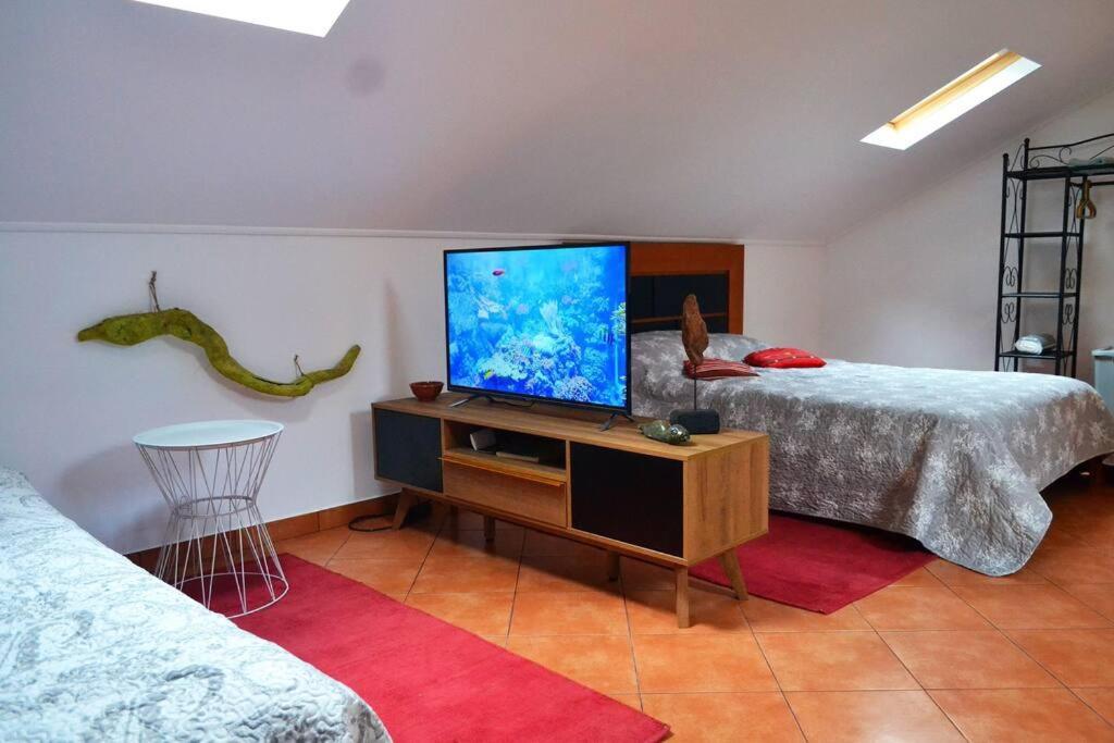 Lazy Lizard Apartment
