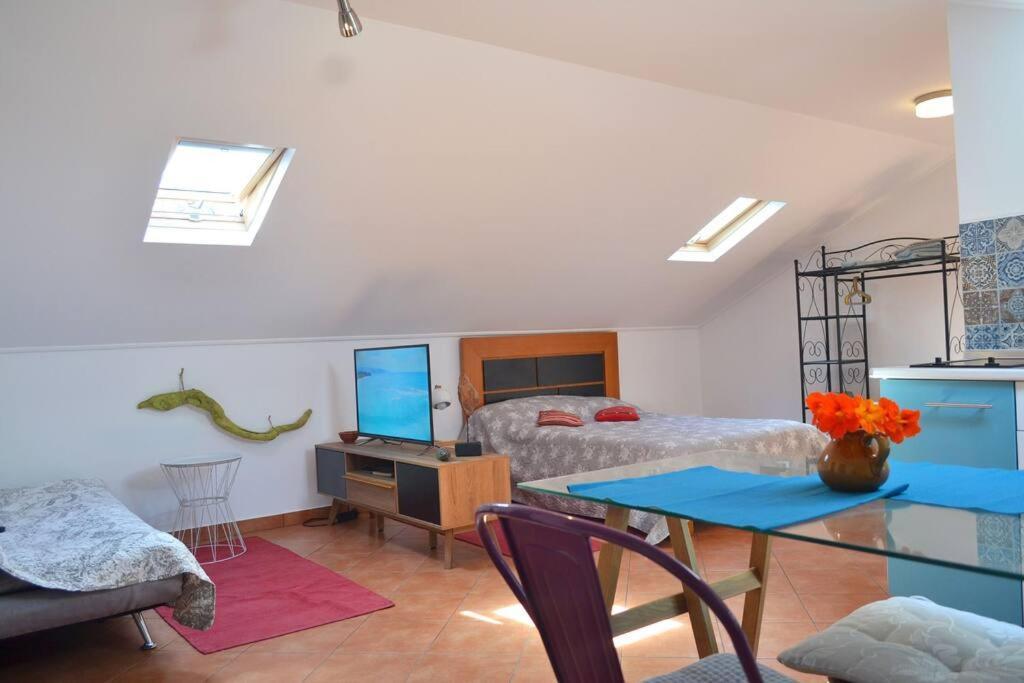 Lazy Lizard Apartment *