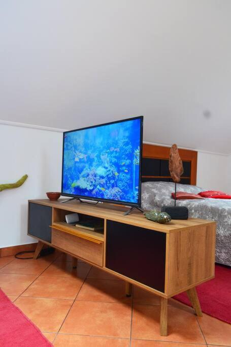 Lazy Lizard Apartment