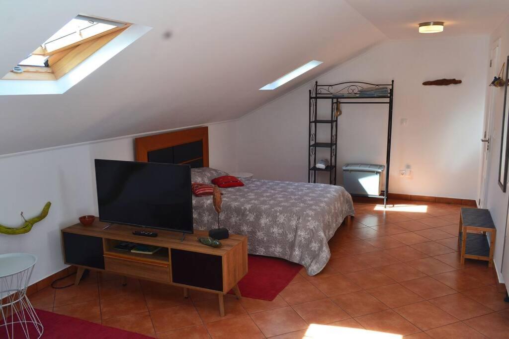 Lazy Lizard Apartment Seixal (Madeira)