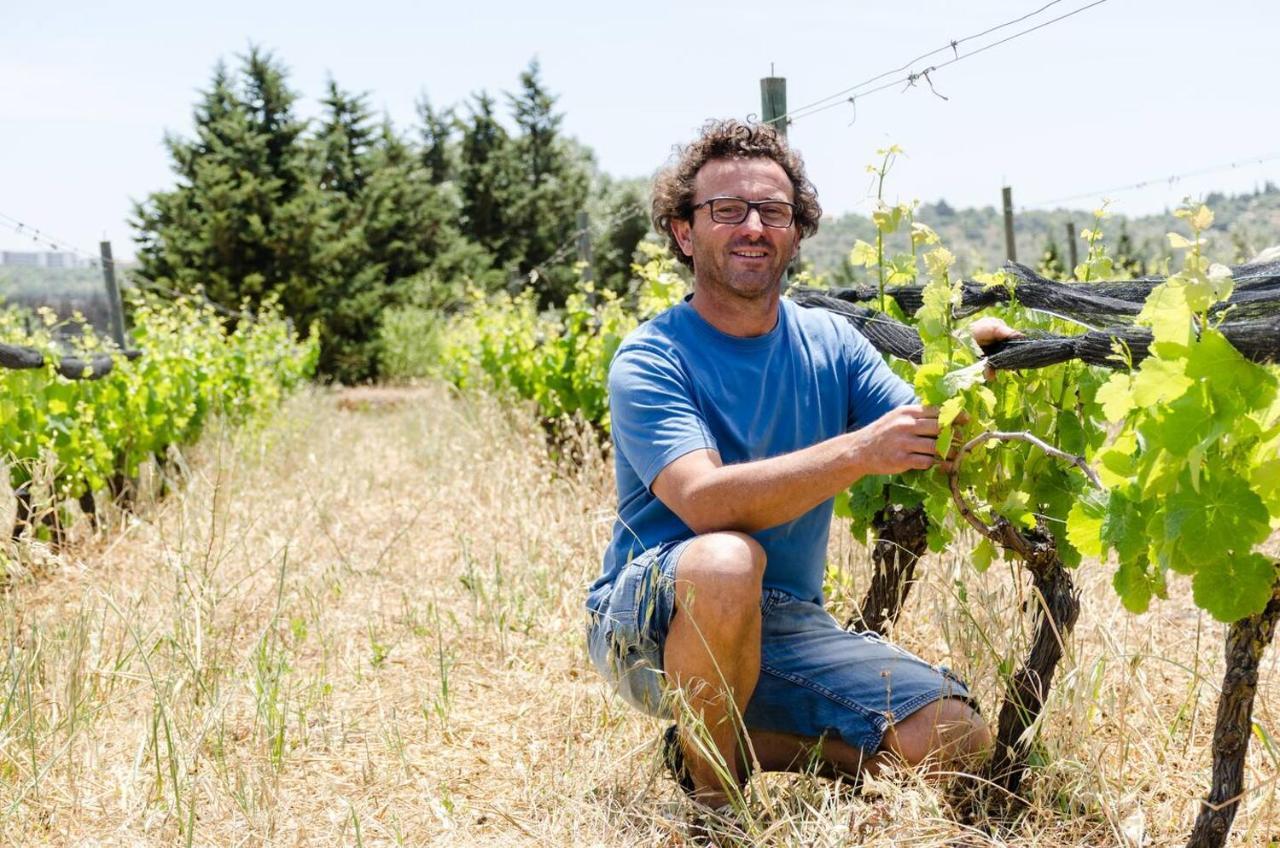 Casas Na Vinha - Monte Da Casteleja, Wine Estate - Eco Lagos