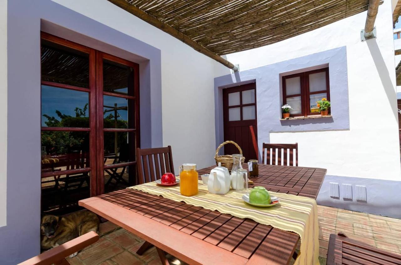 Casas Na Vinha - Monte Da Casteleja, Wine Estate - Eco