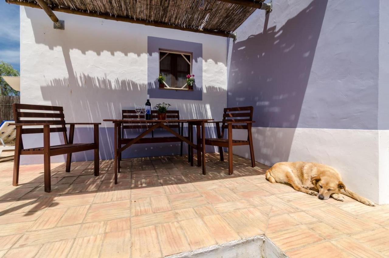 Casas Na Vinha - Monte Da Casteleja, Wine Estate - Eco *