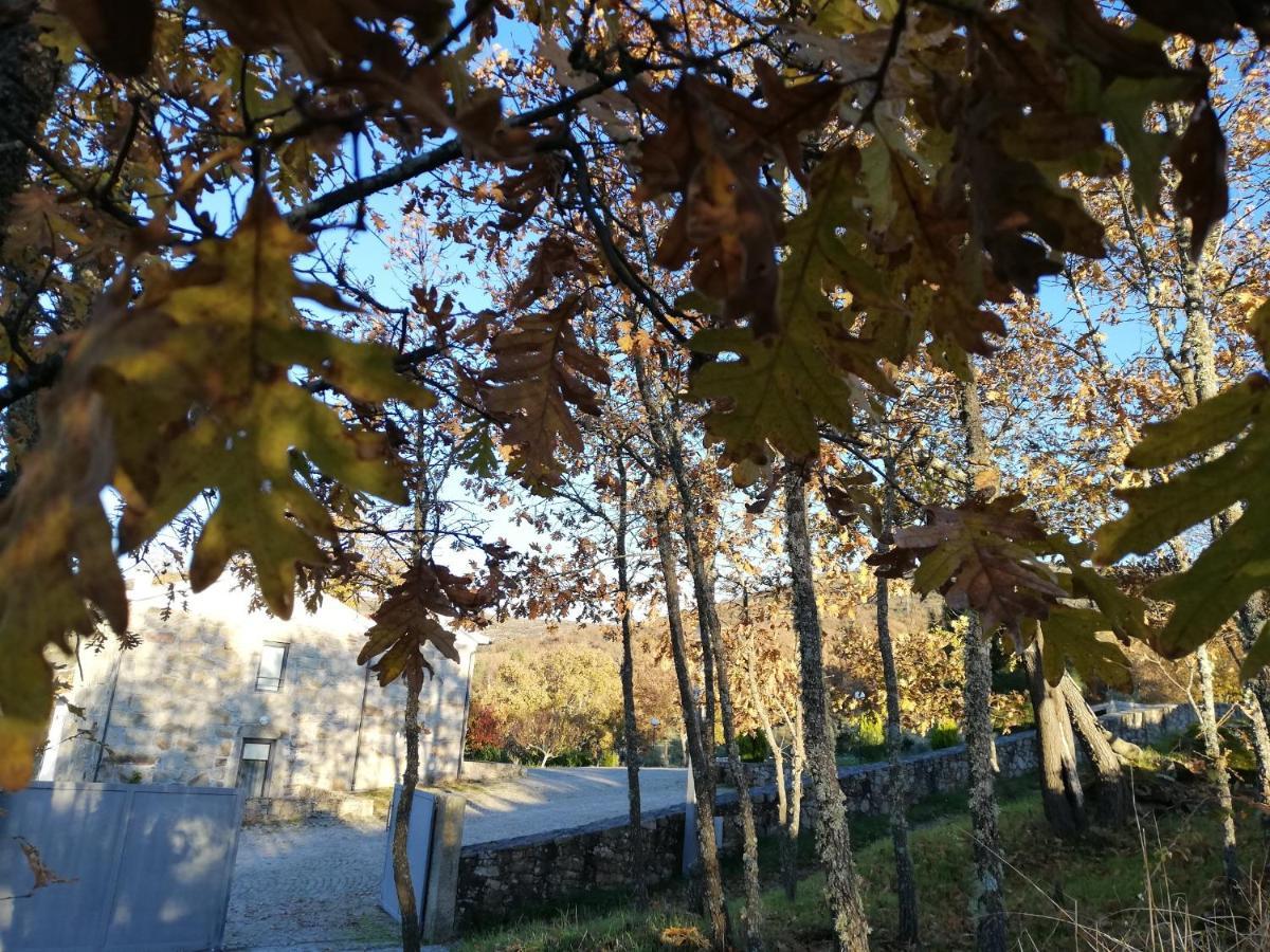 Quinta Dos Carvalhais - Serra Da Estrela *