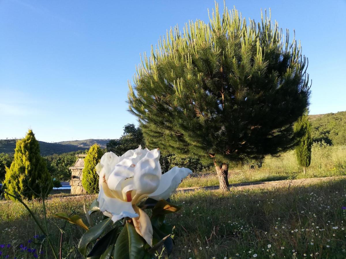 Quinta Dos Carvalhais - Serra Da Estrela
