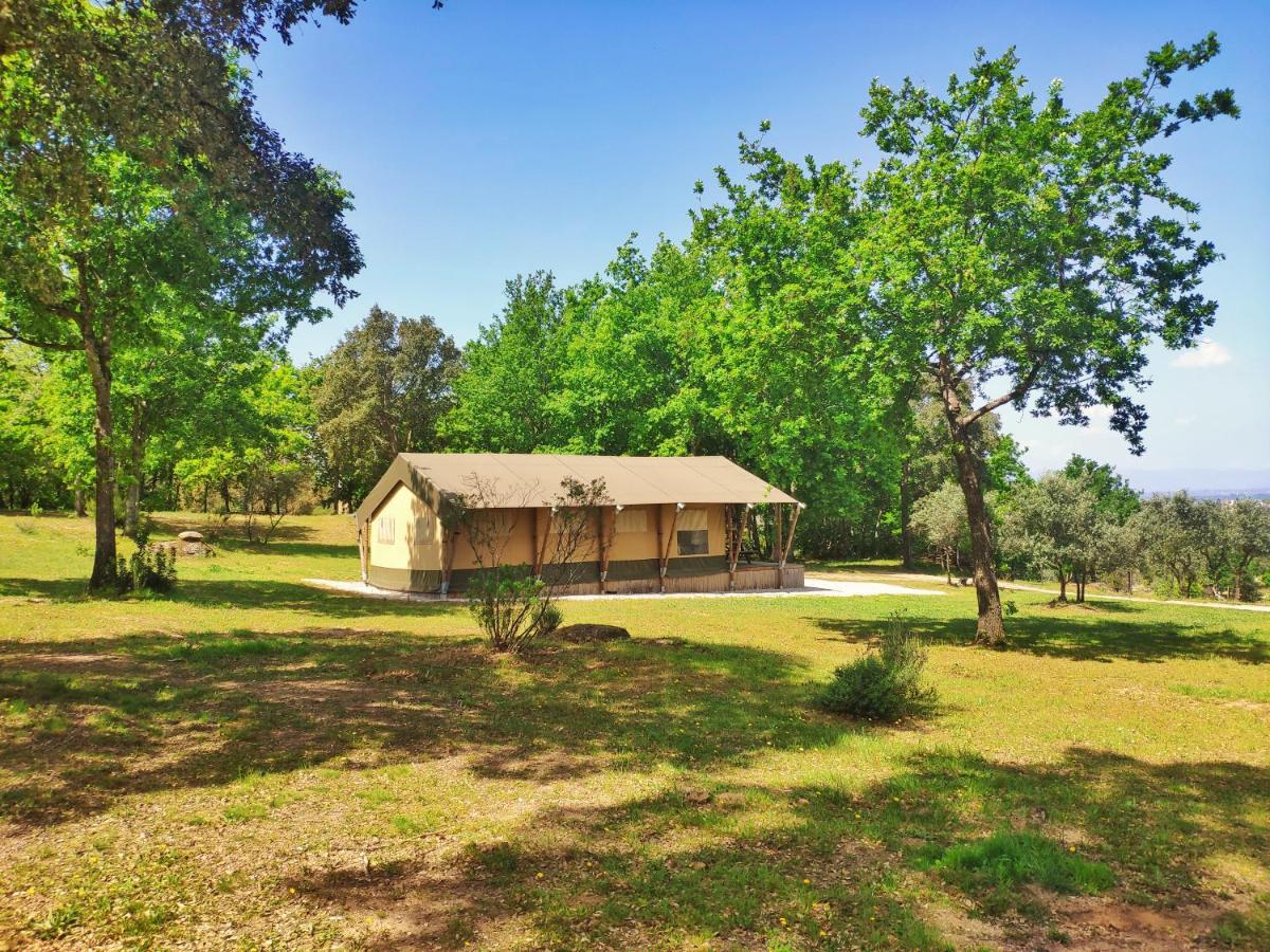 Quinta Dos Corgos Bed & Breakfast *