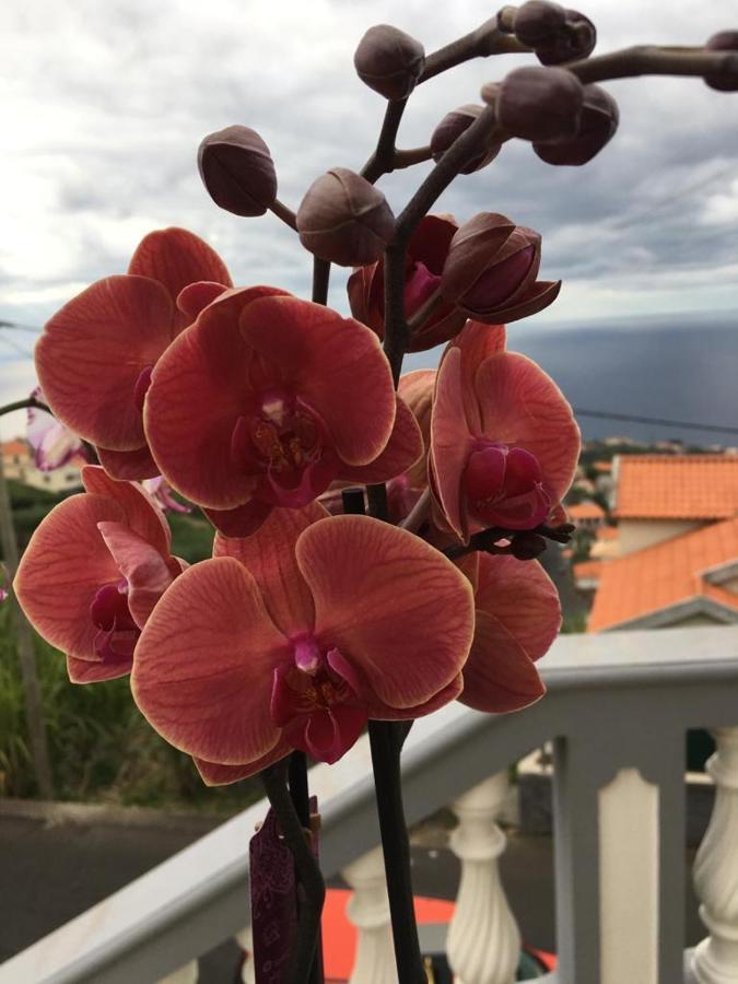 Slice Of Ponta Do Sol- Ground Floor- Sea View Apartment