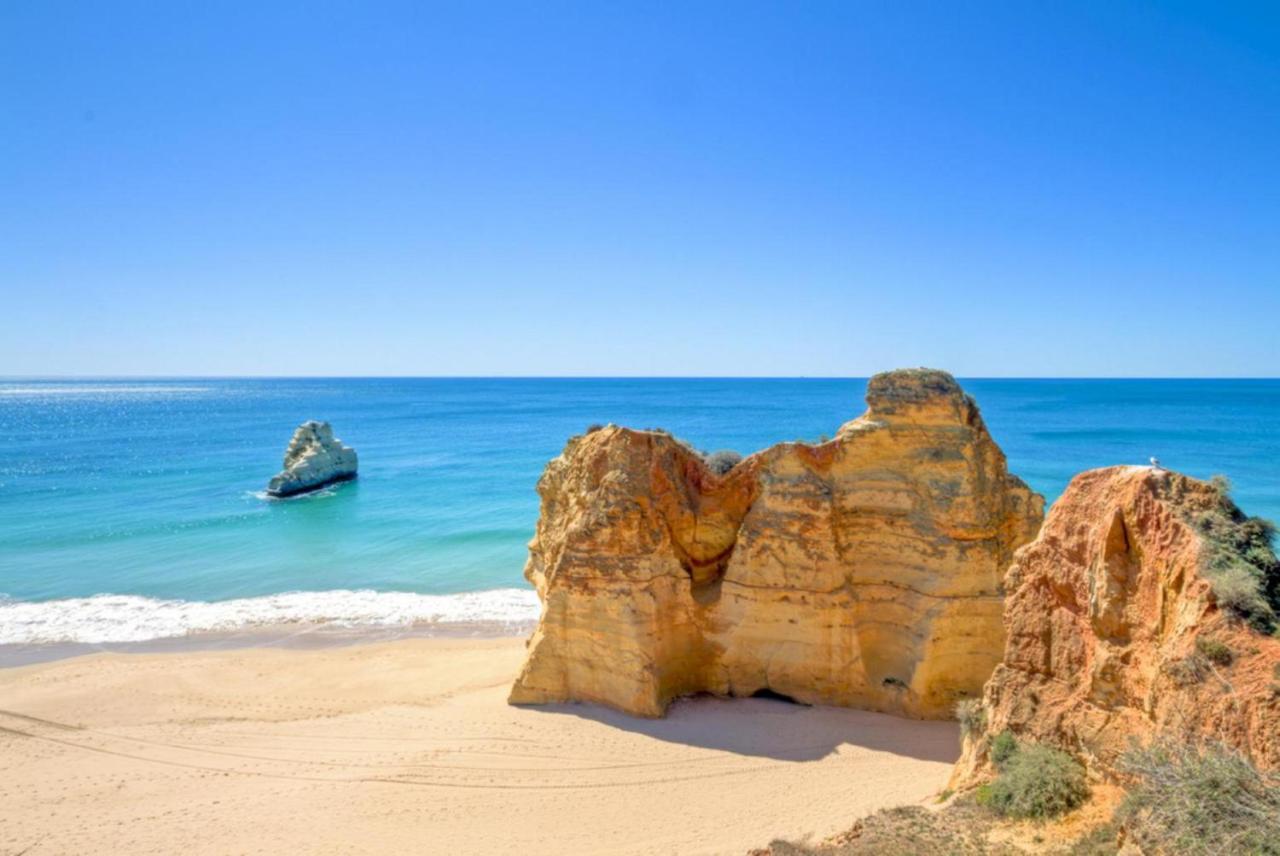Coelho Albufeira