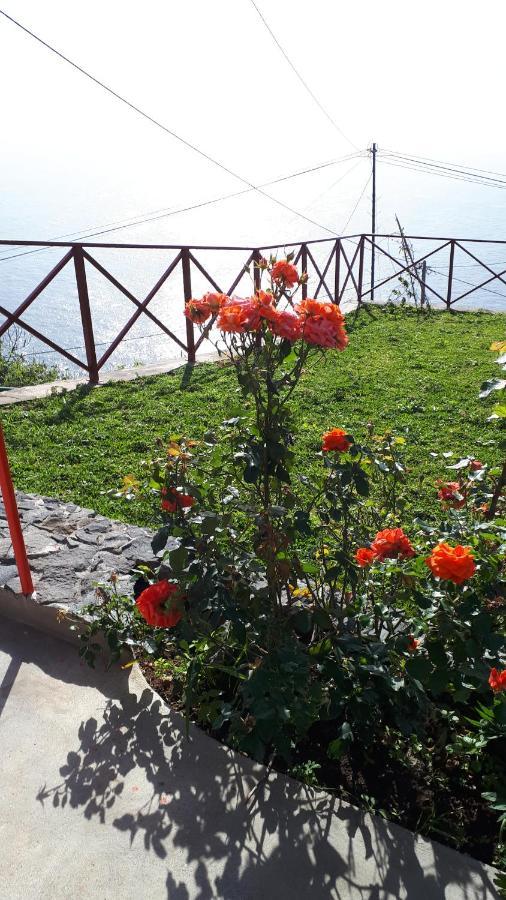 Homestay Casa Dinastia Sotao Y Casa Dinastia Miramar
